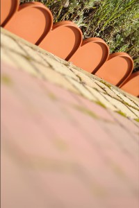Tvorelė daržui/sodui 10 m H9 cm ruda GARDEN LINE Prosperplast