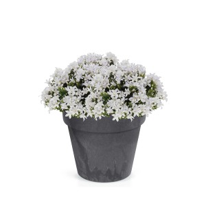 Vazonas CUBE 7 l D250xH221 mm antracito sp. Prosperplast