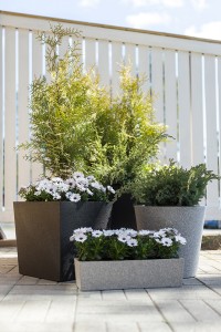 Vazonas termo 5 l 50x14x13 cm juodos sp. 4Living 291124