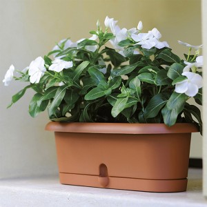 Vazonas PIERA lovelis 50x17 cm rudos sp. Italija STEFANPLAST 79500