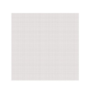Tinklelis langams nuo vabzdžių baltas 250x250 cm DI0074
