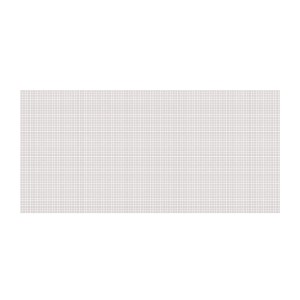 Tinklelis langams nuo vabzdžių baltas  75x250 cm 2 vnt. DI0075