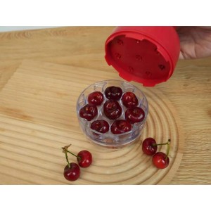 Vyšnių kauliukų išėmėjas 14.5x10 cm 07372