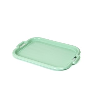 Padėklas plastikinis 46x33x3 cm žalios spalvos Domotti 229020