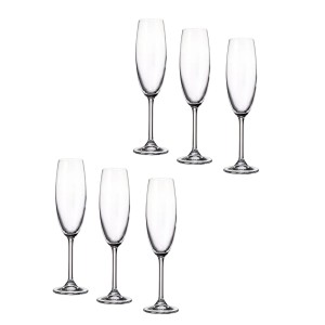 Taurės šampanui 220 ml 6 vnt komplektas Noela Bohemia Santa Clara STA-914S03222
