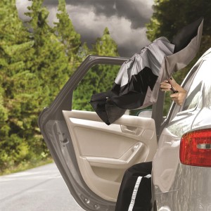 Skėtis automatinis, pritaikytas automobiliui PL361