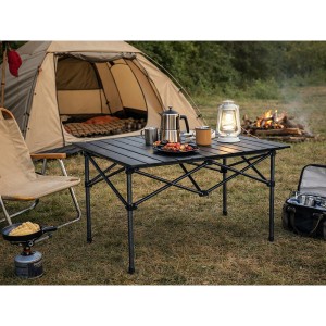 Stalas sulanktomas iškyloms H50x55x118 cm pilkas 14659