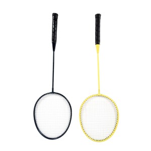 Tinklinio ir badmintono rinkinys 310x168 cm 871125214388