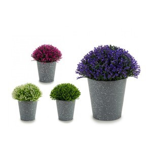Dirbtinis augalas 14x14x15 cm (4 spalvų) Ibergarden 55297