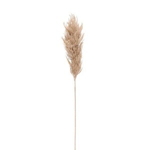 Kortiderija (pampos) dirbtinė gėlė 82 cm 618370