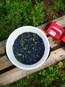 Kibiras plastikinis 10 l -25 - +165°C Suomija 182936