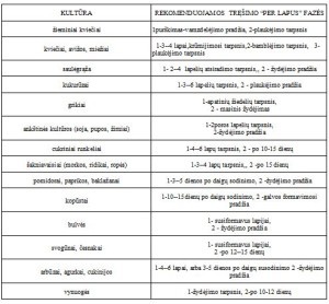 Ekologiškos trąšos JP Renlis (skystos) 1L butelis