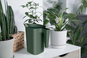 Laistytuvas plastikinis 1,8 l 240x120x200 mm žalia spalva Prosperplast