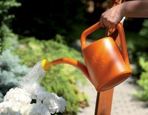 Laistytuvas plastikinis  1,8 l oranžinis KONI Prosperplast (25)