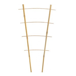 Atrama augalams kopėtėlės bambukinės H43x19 cm 8-10 mm BAM3182 (25)