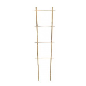 Atrama augalams kopėtėlės bambukinės H45x15 cm 8-10 mm Gardenita
