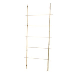Atrama augalams kopėtėlės bambukinės H90x35 cm 8-10 mm BAM0562 (25)