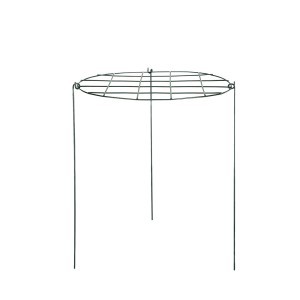 Atrama augalams apvali su grotelėmis žalia sp. D40xH61 cm Gardenita
