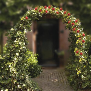 Arka rožėms 240x140 cm KINZO GARDEN 871125230499