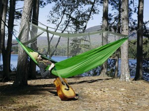 Hamakas su tinkleliu nuo uodų 250x140 cm iki 150 kg  žalias 27125