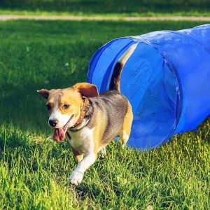 Žaislas šuniui Tunelis D48cm 3 m PET TOYS 871125226831