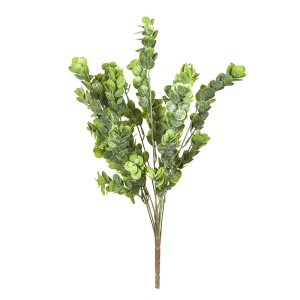 Dekoratyvinė gėlė Eukaliptas mix 3 spalvos 53 cm G2112