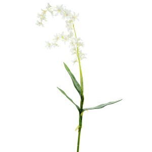 Dekoratyvinė gėlė Orchidėja smulkiažiedė balta (12) h 78 cm SAVEX