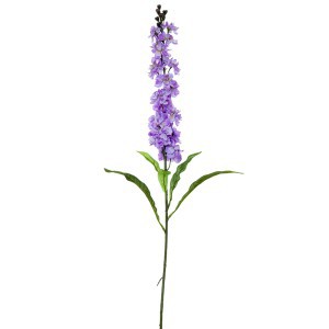 Dekoratyvinė gėlė Leukonija violetinė (24) h 78 cm