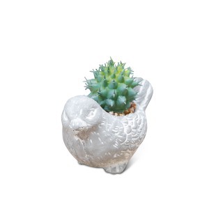 Vazonas Paukštelis  iš betono 8.5x9.5x5 cm CL305 Country Living Widdop