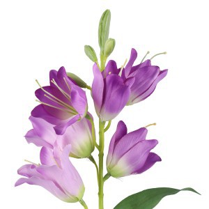 Dekoratyvinė gėlė Katilėlis violetinė spalva 14x14x71 cm 4Living 643664