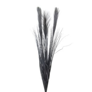 Dekorayvinė žolė Pampa 3 mix h 86 cm K04153