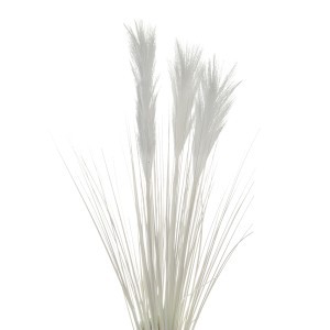 Dekorayvinė žolė Pampa 3 mix h 86 cm K04153