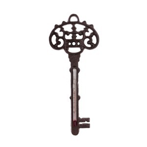 Termometras lauko metalinis Raktas 23x9,5 cm (-20 +50) 165903