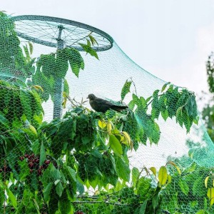 Tinklas apsaugai nuo paukščių juodas  8x20 m su 16 kaiščių LAR6068