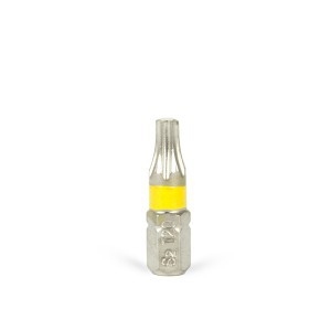 Antgalis atsuktuvui T20 25 mm S2 DIN3126 9830E002000 RISS (10)
