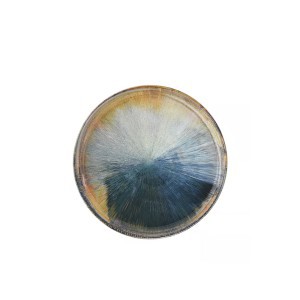 Dubenėlis keramikinis MADERA D18xH4,5 cm Ambition 61388