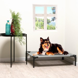 Guolis šuniui su kojelėmis 63,5x81x17 cm 1050 g PET COMFORT 871125223858