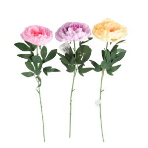 Dekoratyvinė gėlė Bijūnas D16xH77 cm (mix) 114951