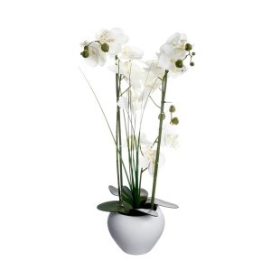 Dekoratyvinis augalas Orchidėja su baltu vazonu 38x38x53 cm Atmosphera 136510B