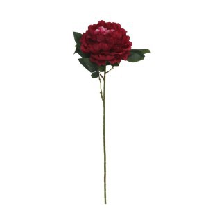 Dekoratyvinė gėlė Bijūnas 74 cm raudonas 8430540867474